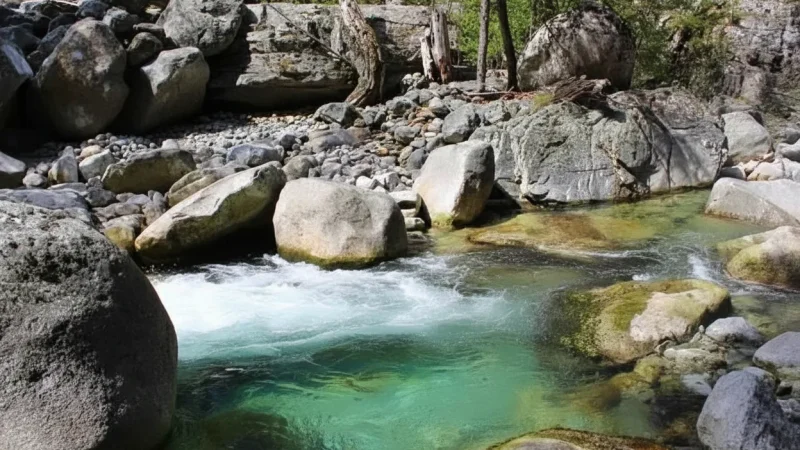 Restonica Valley – River Walk & Nature(5)