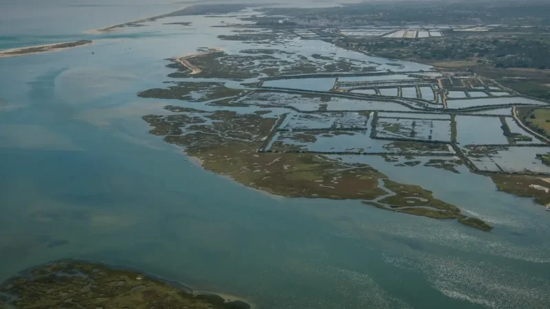 Ria Formosa Natural Park(2)