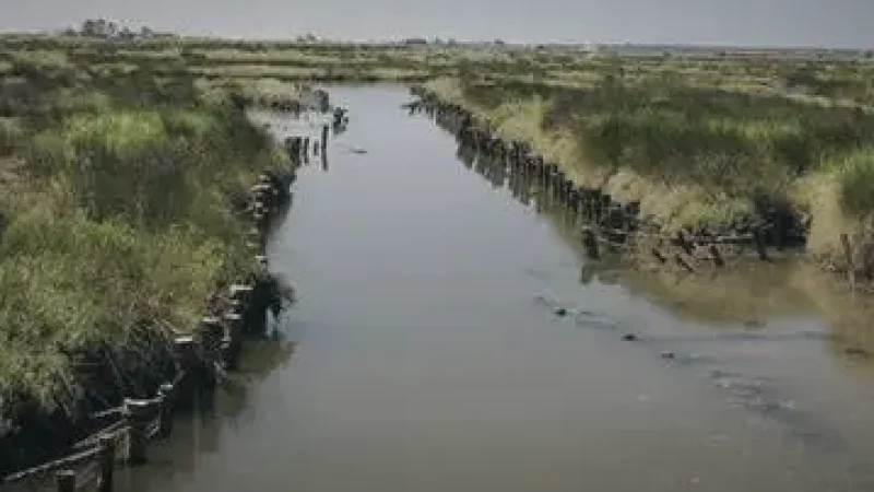 Ria de Aveiro Lagoon(3)