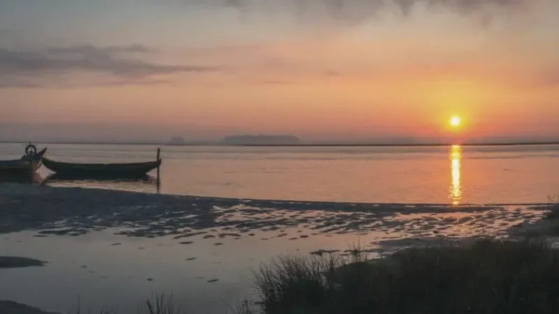 Ria de Aveiro Lagoon(3)