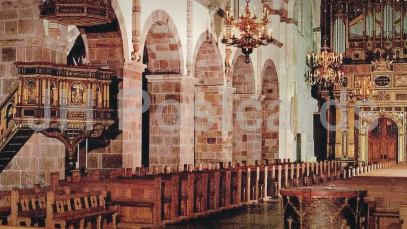 Ribe Cathedral – Historic landmark & tower(4)