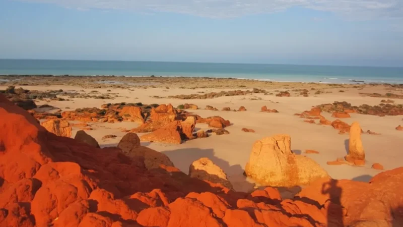 Riddell Beach – Quiet coastal spot(3)