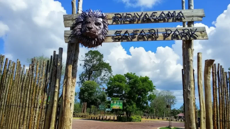 Ridiyagama Safari Park 05