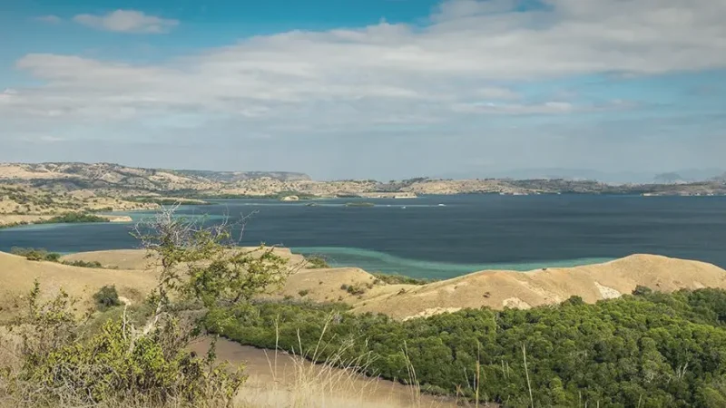 Rinca Island(6)