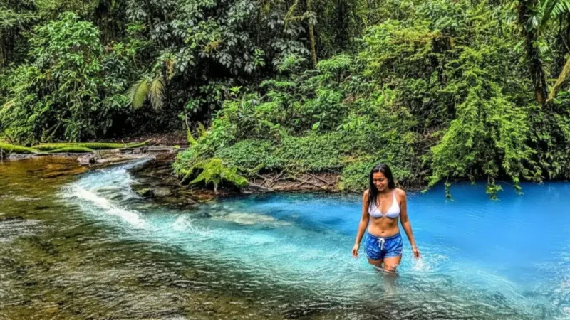 Río Celeste (Tenorio Volcano National Park) 06