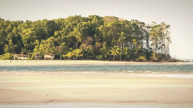 River Beaches – Seasonal sandy shores(4)