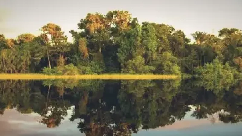 River Island Channels – Narrow waterways(2)