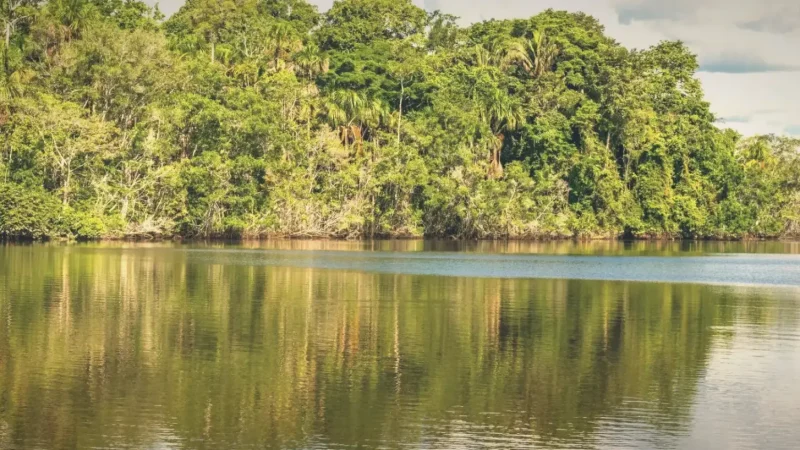 River Photography Spots – Natural visuals(1)