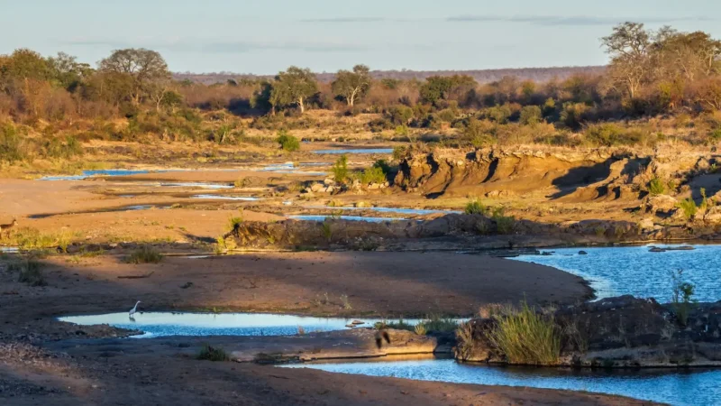 River_Viewpoints_тАУ_Animal_gathering_points_01