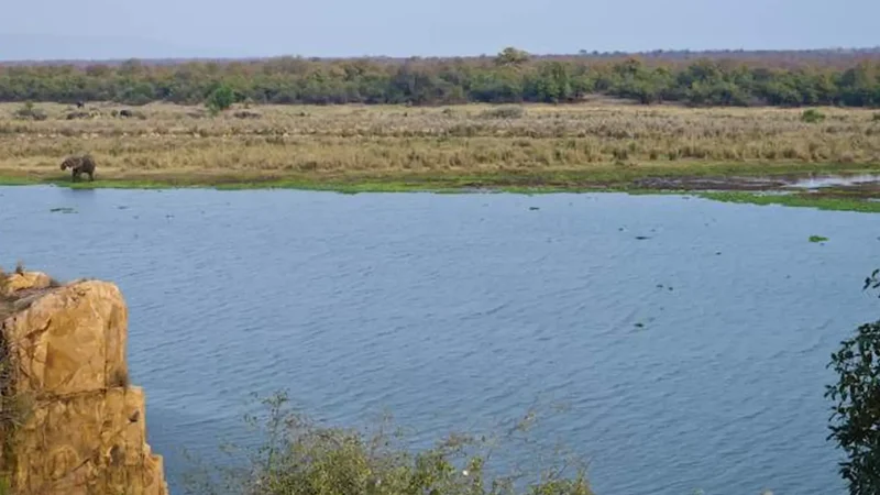 River_Viewpoints_тАУ_Animal_gathering_spots_03