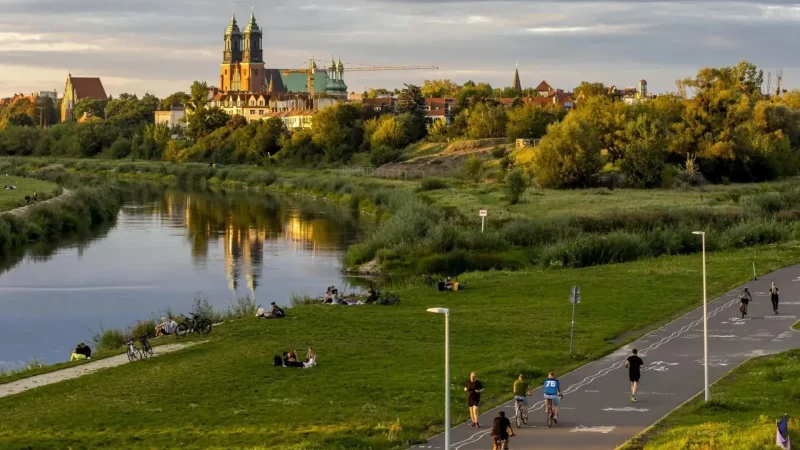 River_Warta_Walks_06