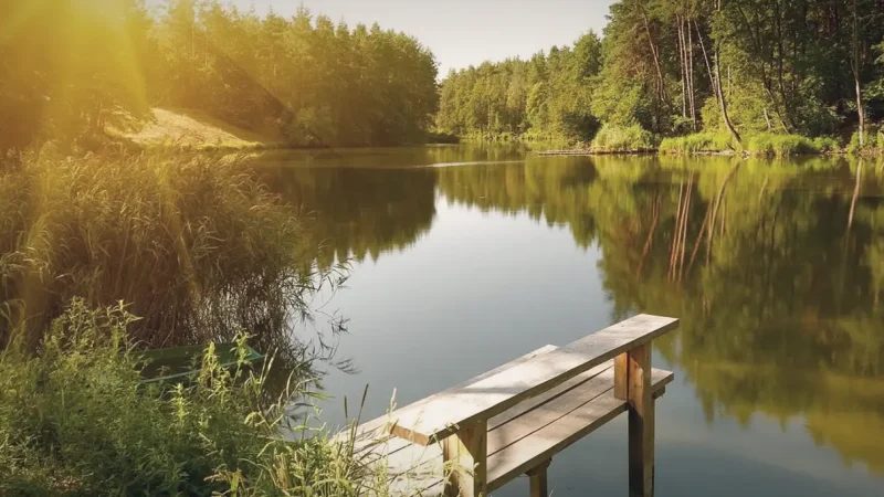 Riverbank Rest Areas – Scenic relaxation(8)