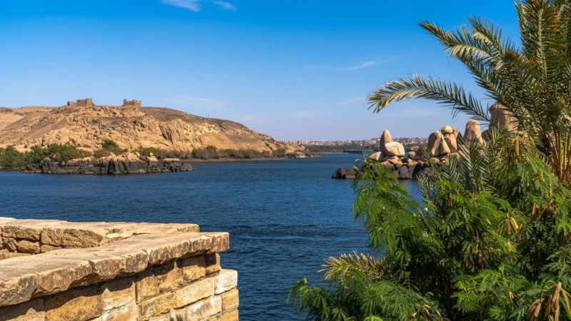 Riverbank Walk Areas – Peaceful Nile Views(6)