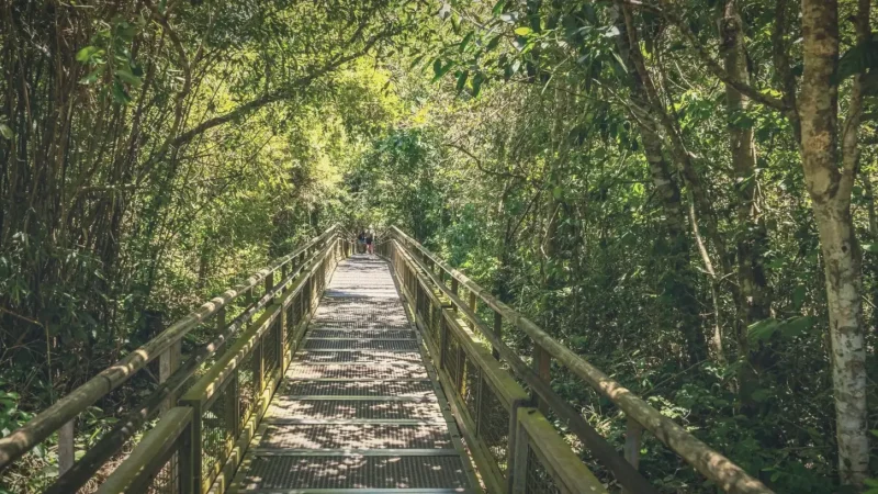 Riverbank Walks – Relaxed stroll areas(1)