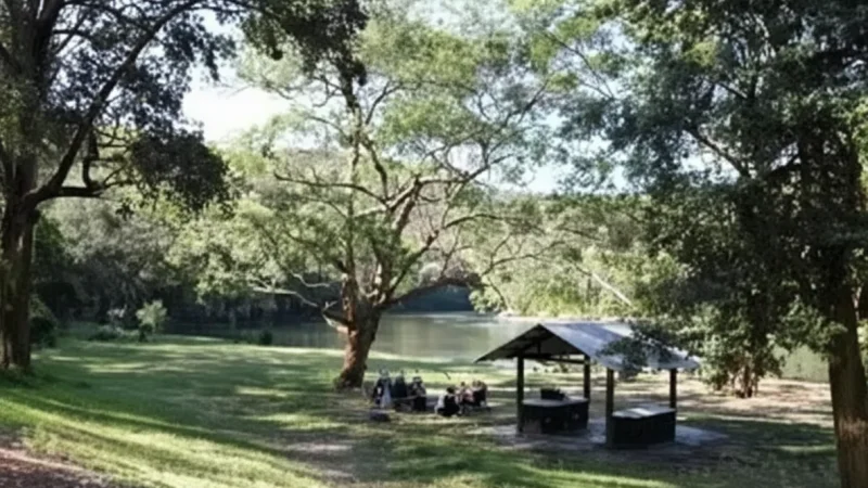 Riverbanks Picnic Areas – Rest spots near water(1)