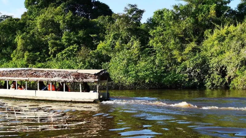 Riverboat_Tours_–_Wildlife_spotting_trips__04