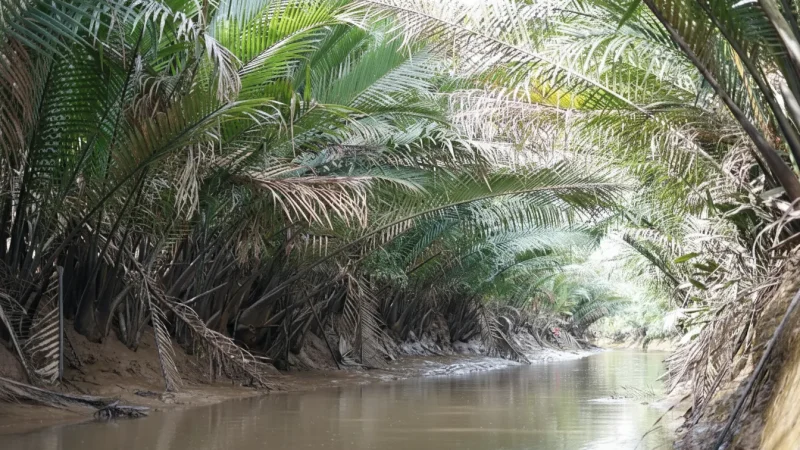 Riverside Boat Routes – Calm Waterways(3)