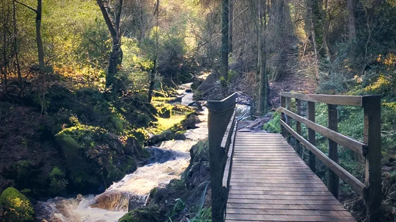 Riverside Walks(1)