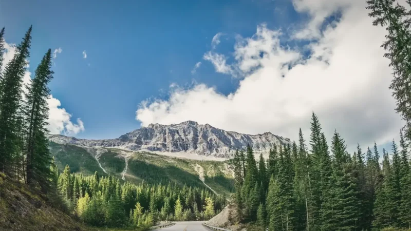 Roadside Scenic Pullouts – Photo stops(4)