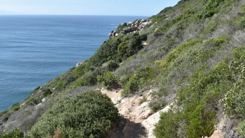 Robberg_Nature_Reserve_тАУ_Coastal_trails_and_viewpoints_05