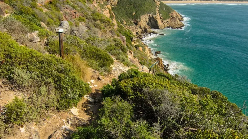 Robberg_Peninsula_тАУ_Scenic_cliff_paths_02