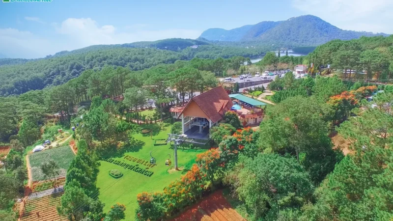 Robin Hill Cable Car(2)