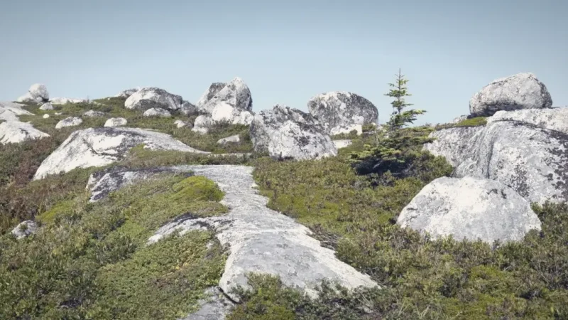 Rocky Shoreline Area(3)