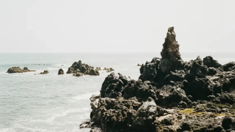Rocky Shorelines(1)