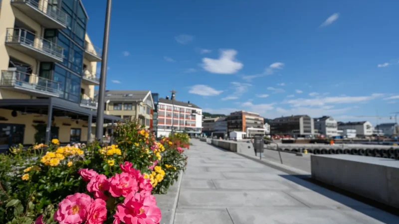 Rose Gardens – Seasonal flower displays(4)