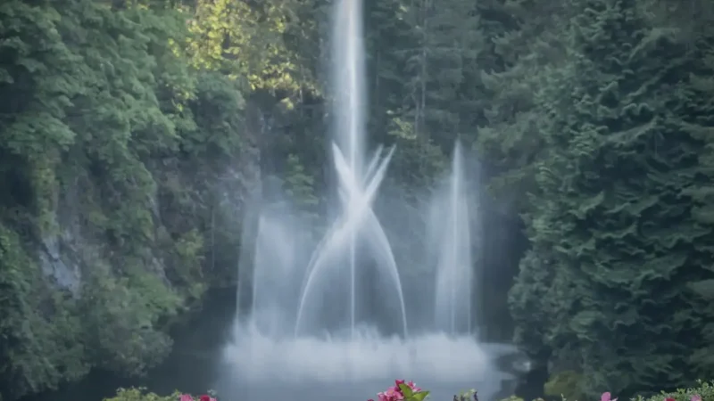 Ross Fountain – Water Feature(6)