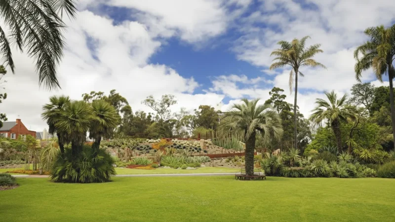 Royal Botanic Gardens – Large green space in the city(5)