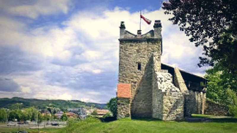 Royal Castle Rui(1)