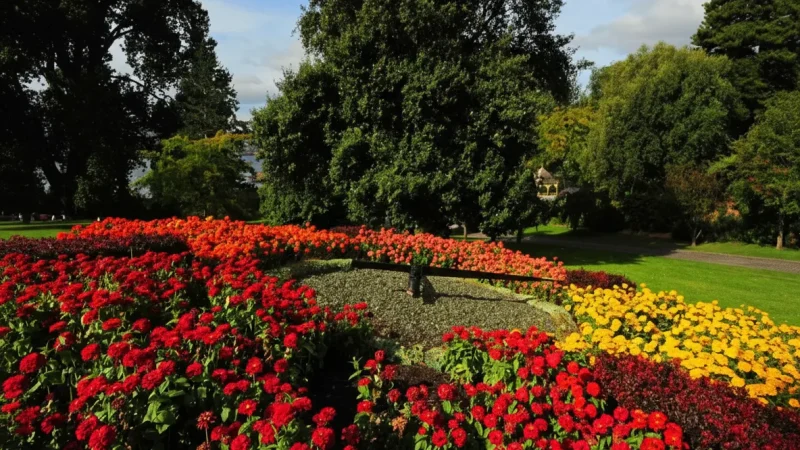 Royal Tasmanian Botanical Gardens – Green space(5)