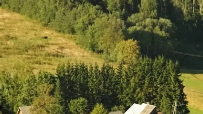 Rural Farm Landscapes(1)