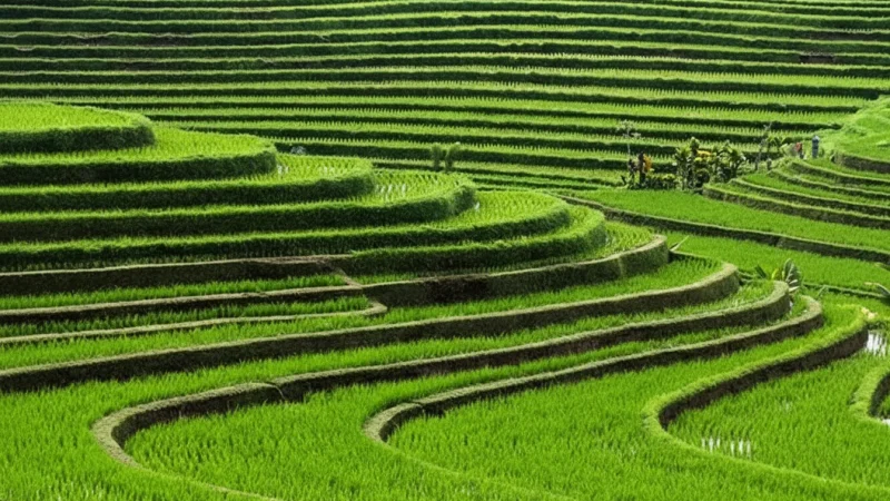 Rural Outskirts – Quiet countryside scenery(4)