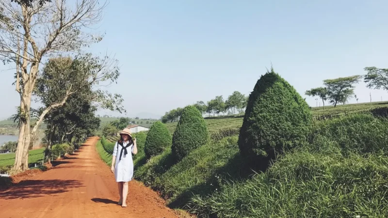 Rural Walking Paths(3)