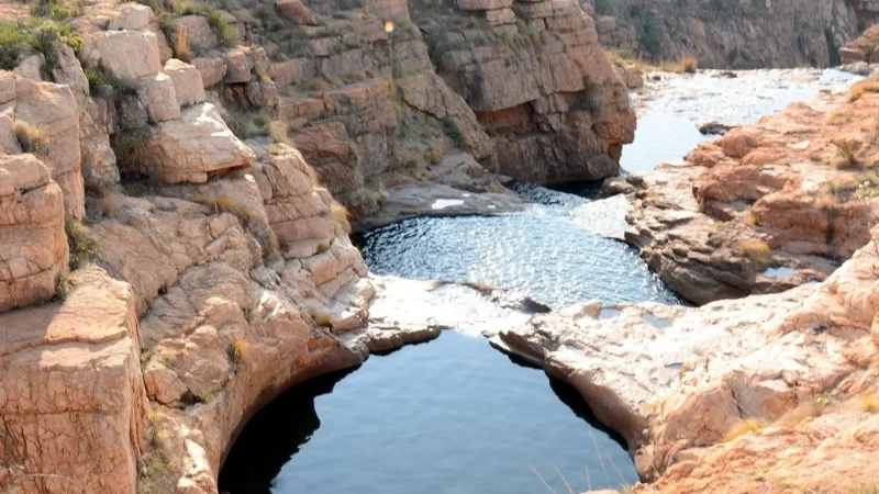Rustenburg_Nature_Reserve_тАУ_Local_wildlife_area_06