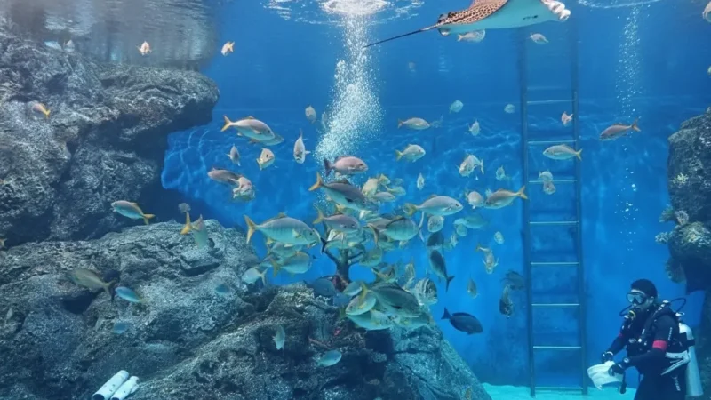 SEA_LIFE_Bangkok_Ocean_World_Travel_Guide(1)