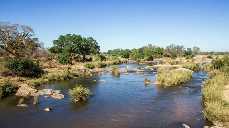 Sabie_River_тАУ_Prime_wildlife_viewing_zone_05