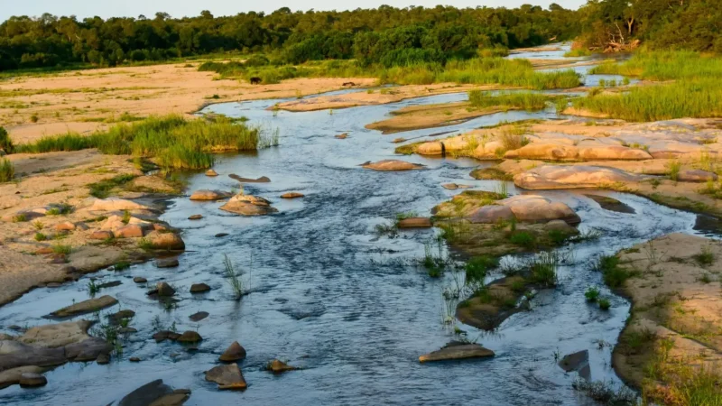 Sabie_River_тАУ_Riverside_scenery_and_activities_05
