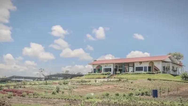 Safari Lagoi & Eco Farm(6)
