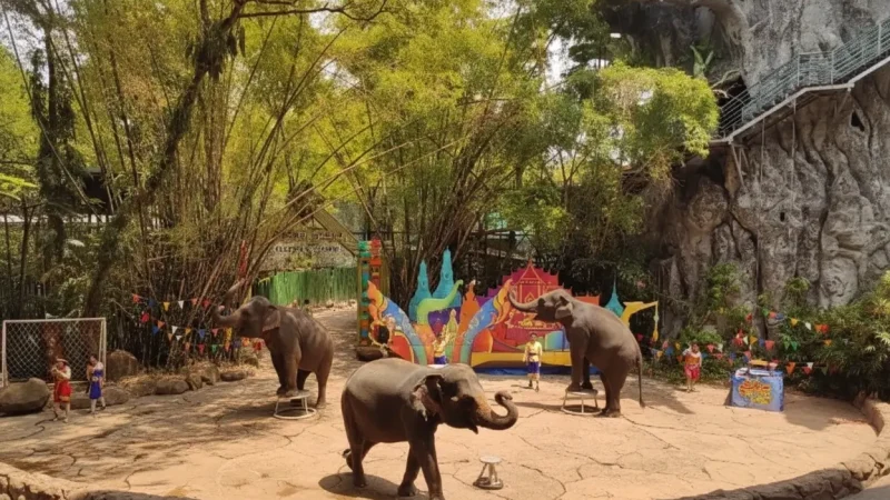 Safari_World_Travel_Guide(1)