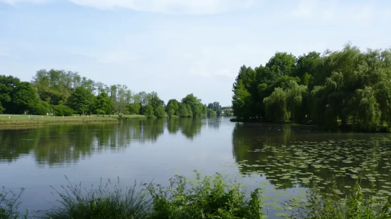 Saint-Paul-lès-Dax – Thermal spa town(2)