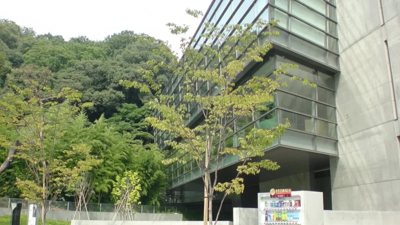 Saka no Ue no Kumo Museum(4)