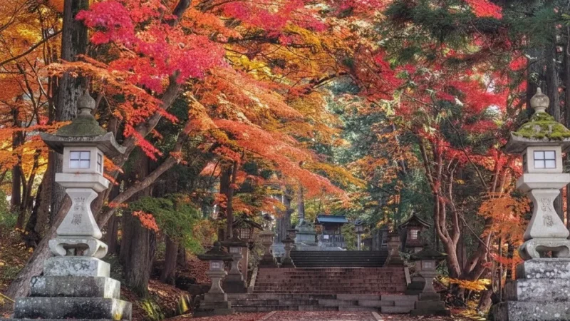 Sakurayama Hachiman Shrine(4)