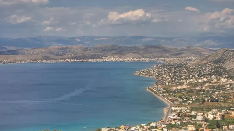 Salamina_03