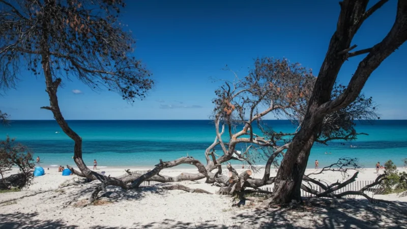 Saleccia Beach – White Sand & Clear Blue Water(2)