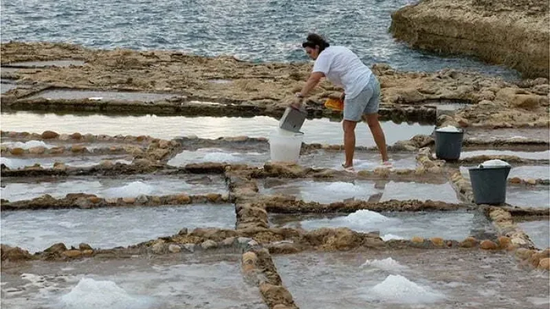 Salt Pans of Puttalam5
