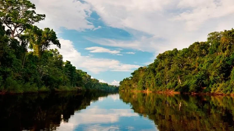 Samiria_River_–_Flooded_forest_landscapes__06
