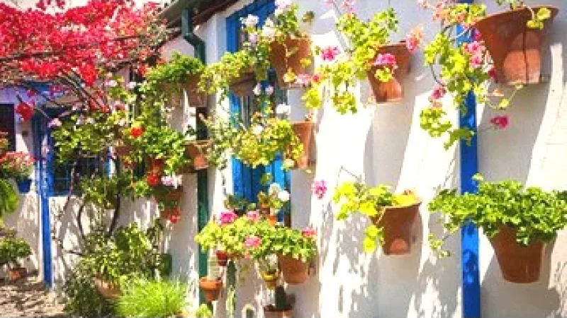 San Basilio District Córdoba(3)